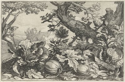 Landscape with Pumpkins and Cabbages by Claes Jansz. Visscher (II)