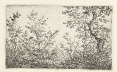 Clearing in the Forest by Claes van Beresteyn