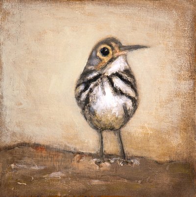 Curious Little Bird by Claire Lerner