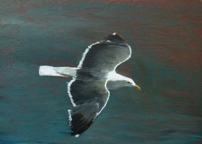 Graceful Seagull Flight by Claire Lerner