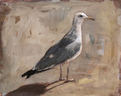 Standing Seagull Portrait by Claire Lerner