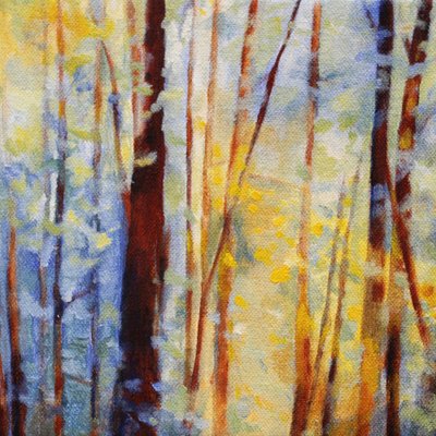 Dreamy Forest Light by Claire Whitehead