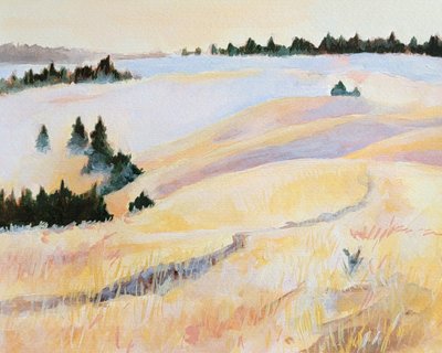 Peaceful Golden Fields by Claire Whitehead