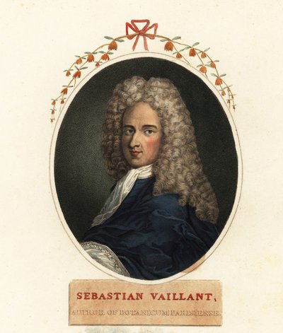 Portrait of Sebastian Vaillant, French Botanist by Claude Aubriet