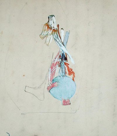 Nervous system in the head of a cat, 25th May 1842 by Claude Bernard