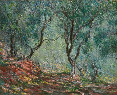Olive Trees in the Moreno Garden, 1884 by Claude Monet