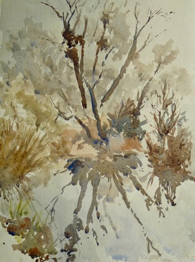 Leg of Mutton, Eton, 2010 by Clive Wilson