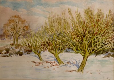 The Orchard, January Sun by Clive Wilson