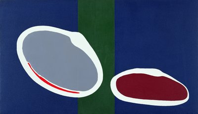 Go Discs II by Colin Booth
