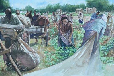 Backbreaking, 2010 by Colin Bootman