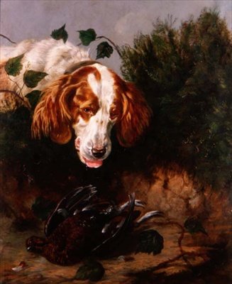Just Shot - Spaniel with a Dead Grouse by Colin Graeme