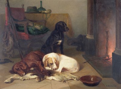 By the Fireside by Conradyn Cunaeus