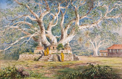 Sacred Bo Tree at the Burial place of the Kandian Queens by Constance Frederica Gordon Cumming
