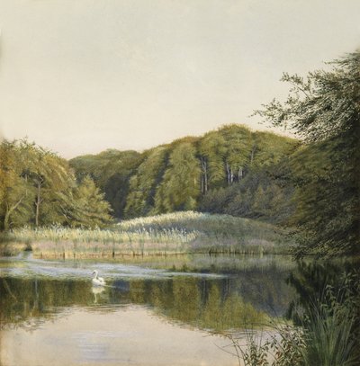 Swans on Paddington Pond by Constance Phillott