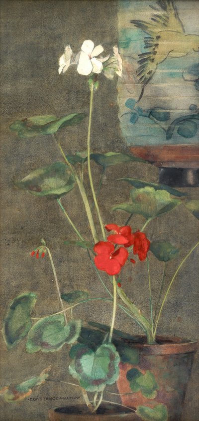 Geraniums and Japanese Lantern by Constance Walton