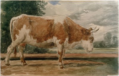 Cow in Side View by Constant Troyon