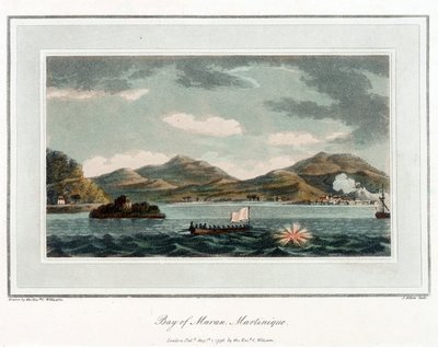 Maran Bay, in Martinique by Cooper (after) Willyams