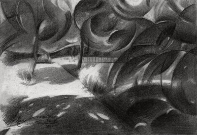 Dappled Forest Light by Corné Akkers