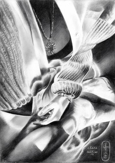Hands in Light and Shadow by Corné Akkers
