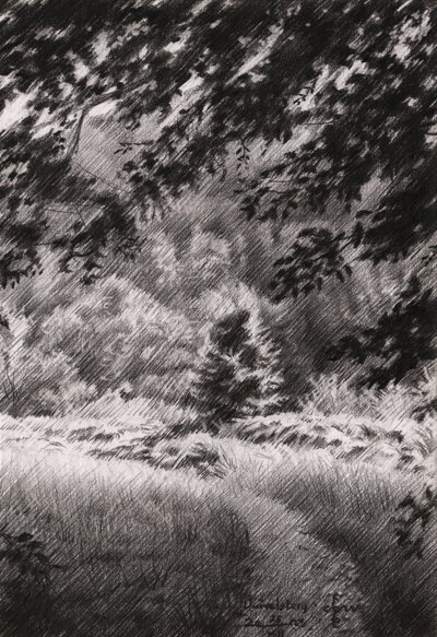 Peaceful Forest Path by Corné Akkers