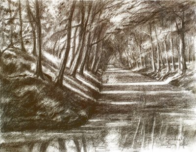Shaded Canal Reflections by Corné Akkers