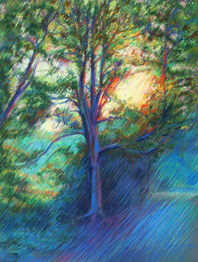 Sunlit Forest Path by Corné Akkers