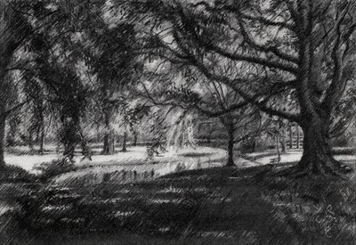 Sunlit Park Path by Corné Akkers
