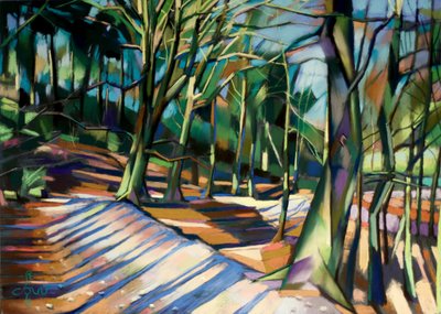 Sunny Forest Path by Corné Akkers