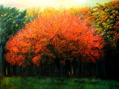 Vibrant Fall Tree by Corné Akkers