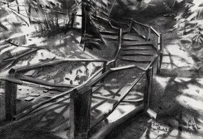 Winding Forest Stairs by Corné Akkers