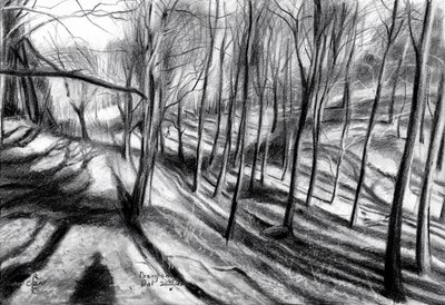 Winter Forest Path by Corné Akkers