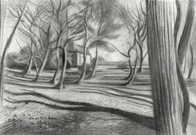 Winter Forest Shadows by Corné Akkers