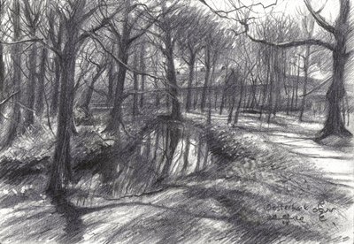 Winter Woodland Stream by Corné Akkers
