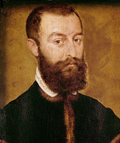 Portrait of a Man with a Beard or, Portrait of a Man with Brown Hair by Corneille de Lyon