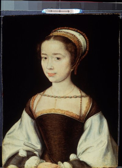 Portrait of a Young Woman by Corneille de la  Haye