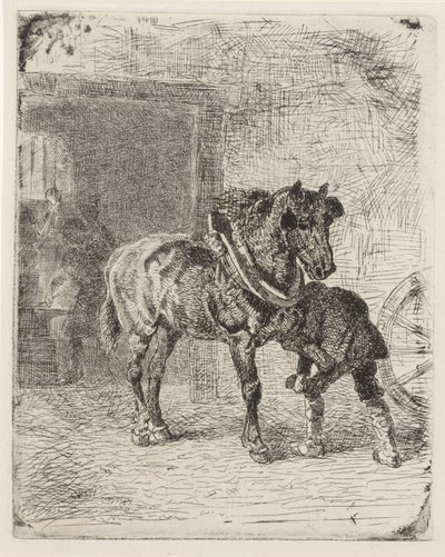 Horse Being Shod in a Blacksmith