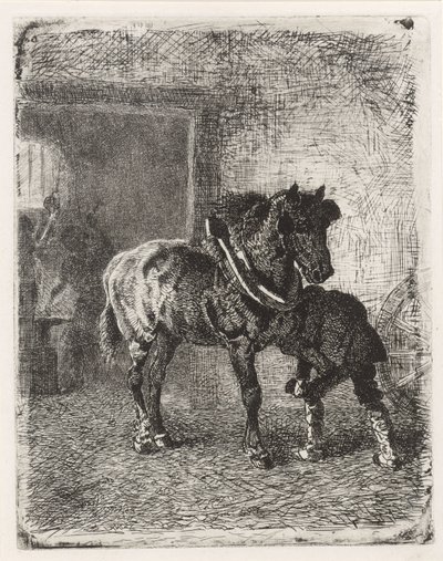 Horse Being Shod in a Blacksmith