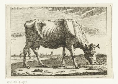 Landscape with Grazing Cow by Cornelis  Bisschop
