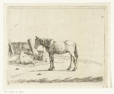 Landscape with Horse and Two Cows by a Fence by Cornelis  Bisschop