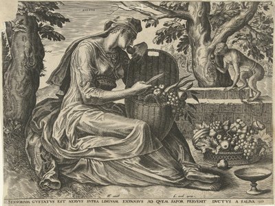 Taste by Cornelis Cort