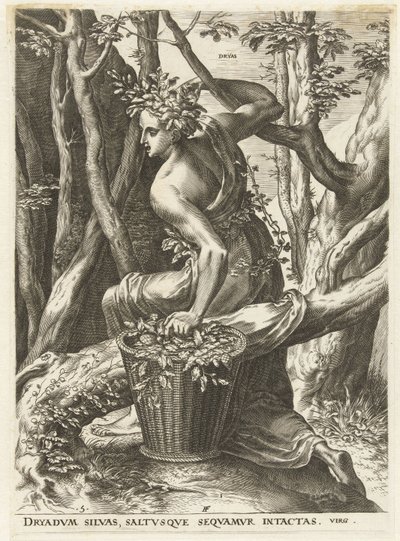 Dryas by Cornelis Cort