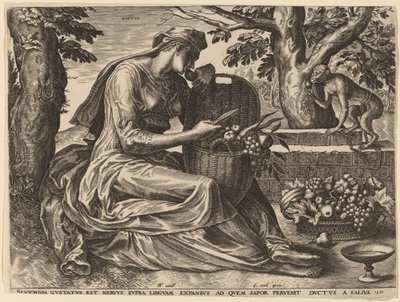 Gustus by Cornelis Cort after Frans Floris I