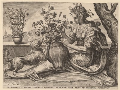 Odoratus by Cornelis Cort after Frans Floris I