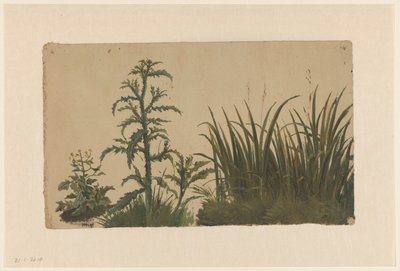 Thistle and Reed by Cornelis Johannes de Vogel