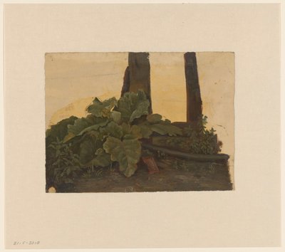 Plants at the Foot of a Tree Trunk by Cornelis Johannes de Vogel