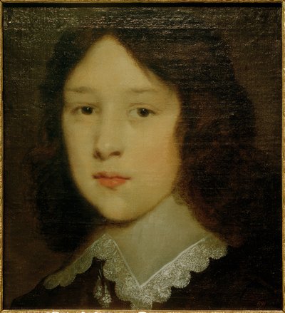 Portrait of a Young Man by Cornelis Johnson van Keulen