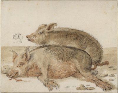 Two Pigs by Cornelis Saftleven