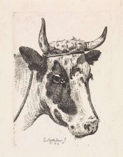 Head of a Spotted Cow (First Suite) by Cornelis Steffelaar