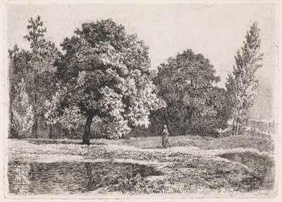 Landscape with Trees, Lake, and a Woman (Fifth Suite) by Cornelis Steffelaar