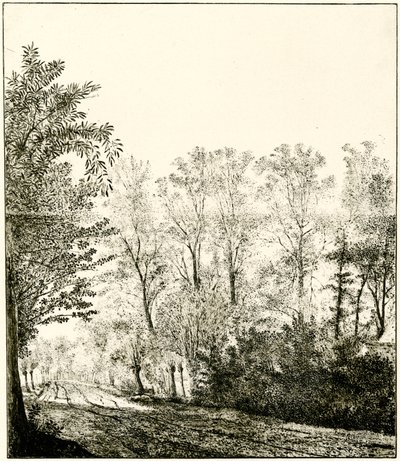 Trail Through a Forest by Hendrick Cornelisz. Vroom